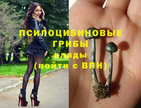 не бодяженный Магас