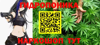 спайс Гагарин
