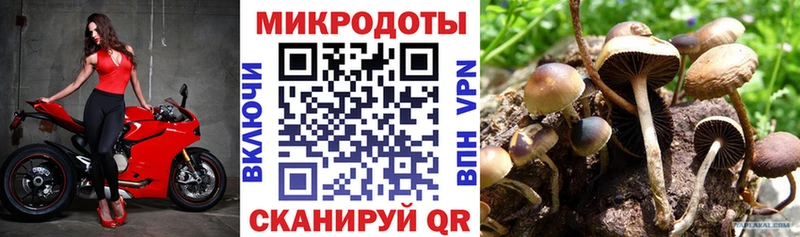 купить наркоту  Сухой Лог  Галлюциногенные грибы ЛСД 
