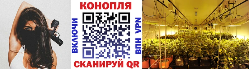 продажа наркотиков  Сухой Лог  Марихуана семена 